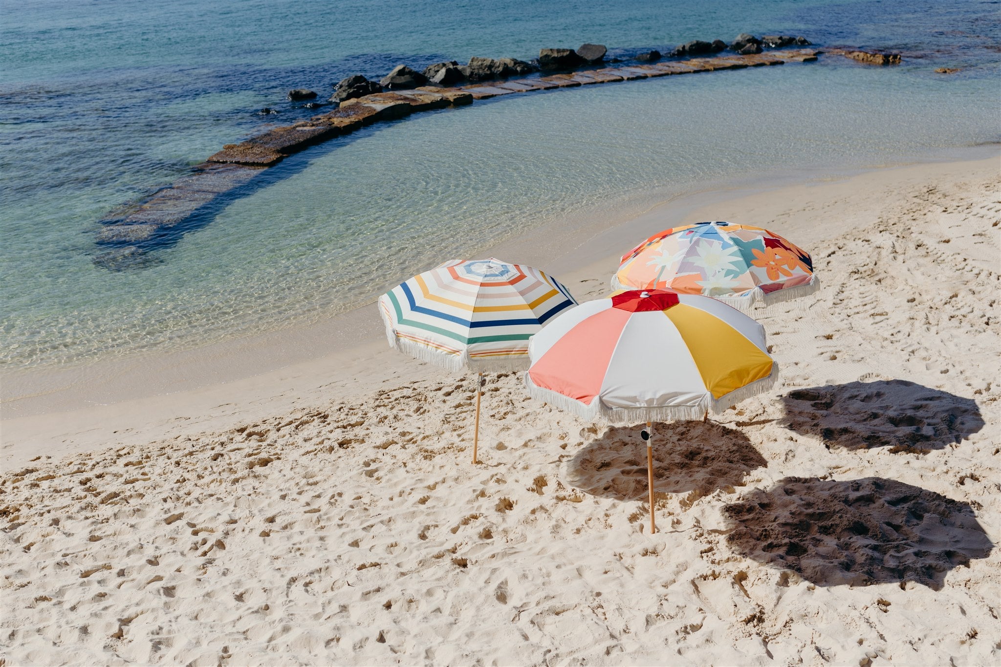 Bangs Basil – Umbrellas Beach Premium