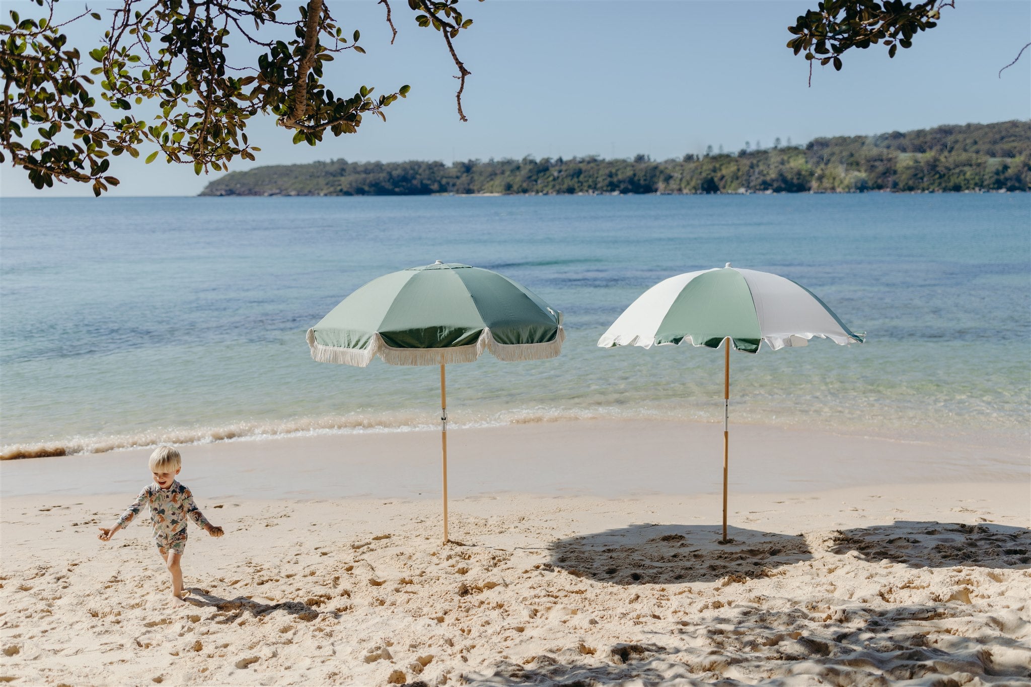 Beach Umbrellas Basil Bangs –