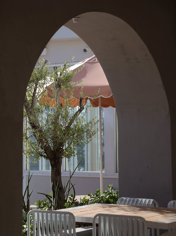 Basil Bangs Sundial Scallop Clay Pavillion Mooloolaba