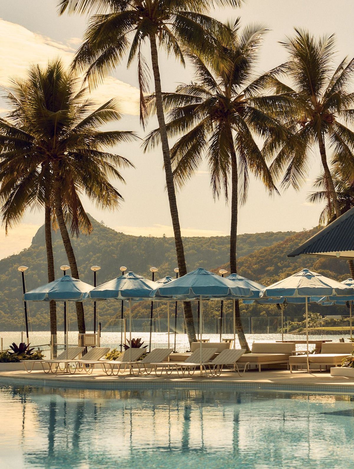 The Sails Pool Hamilton Island with Basil Bangs Blue Sundial Umbrella