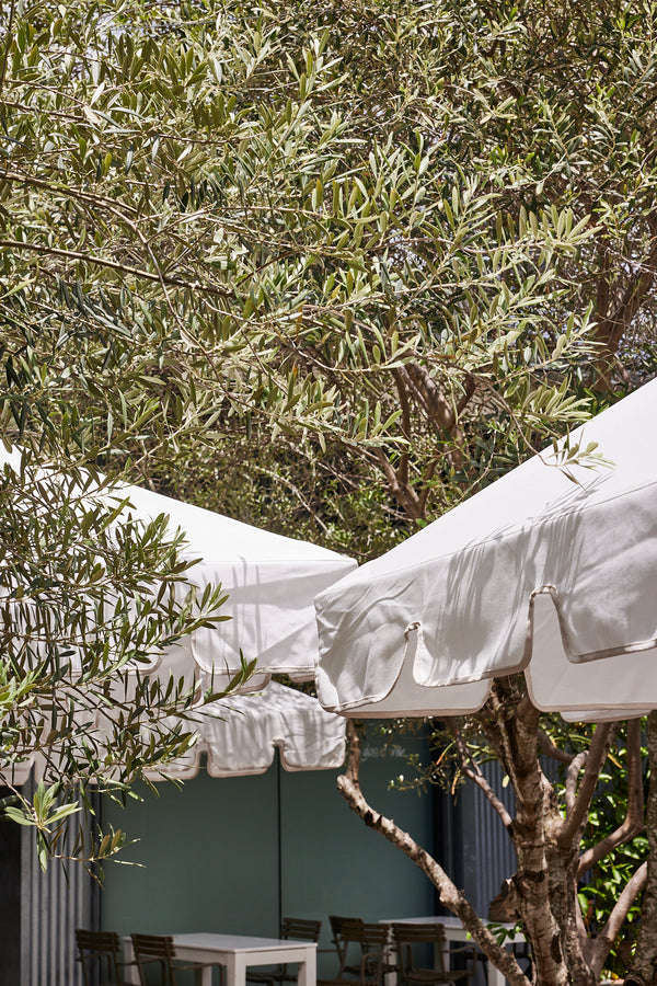 Basil Bangs commercial patio umbrella detail in olive trees at howard smith wharves