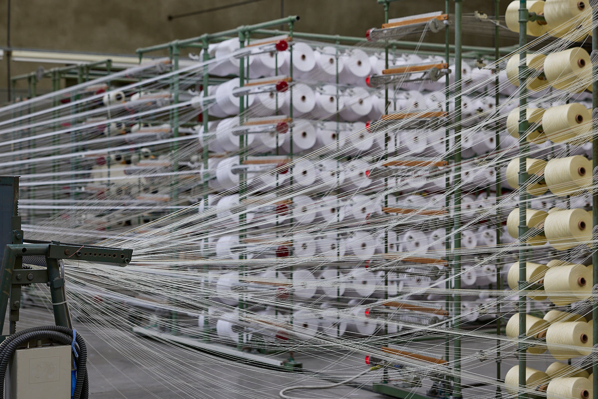 basil bangs the italian collection commercial umbrella behind the scene